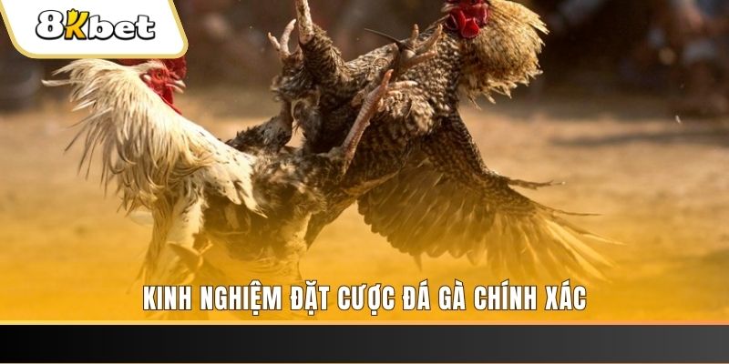 ee88 app PA Trực Tuyến