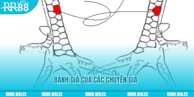 ee88 app PP Điện Tử