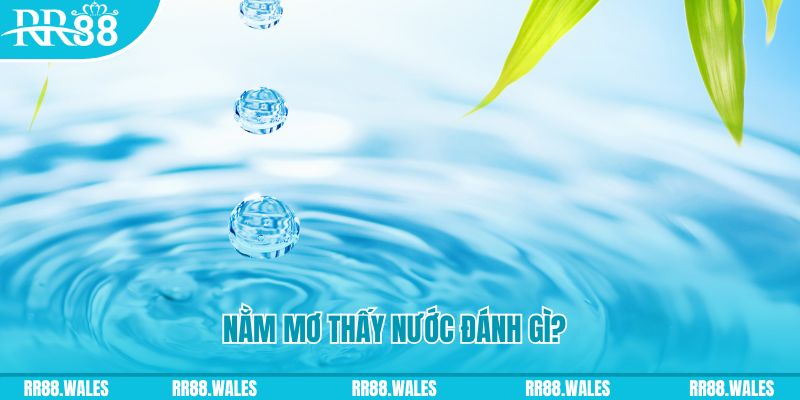ee88 app YGR Bắn cá