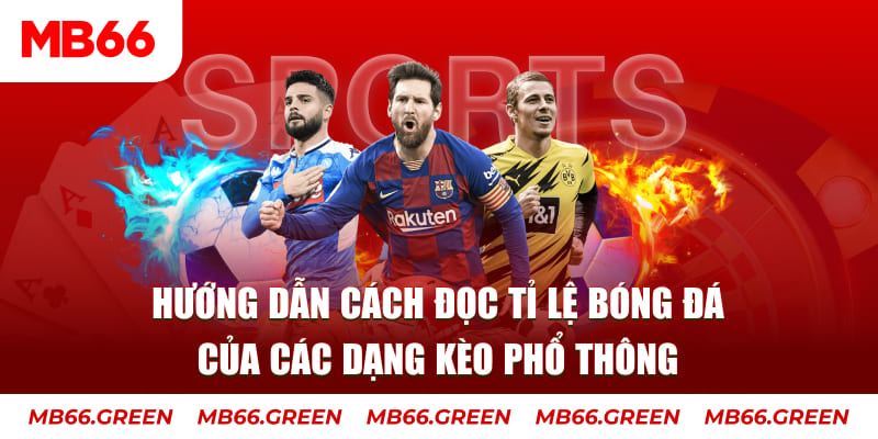 ee88 app đăng nhập phỏm live