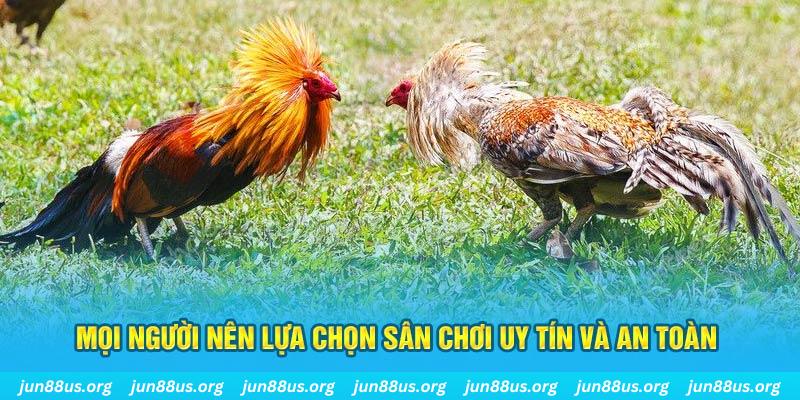 ee88 app Giành Chủ Bull Bull