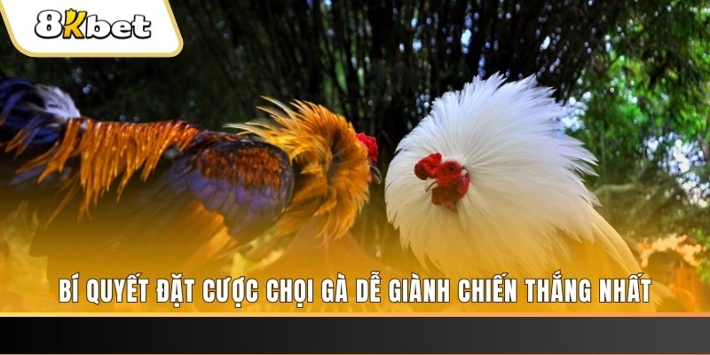 ee88 app xổ số đồng tháp